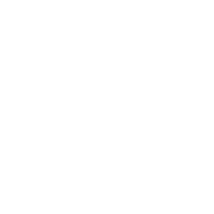 DiwaliVannerrie_logoW300x300